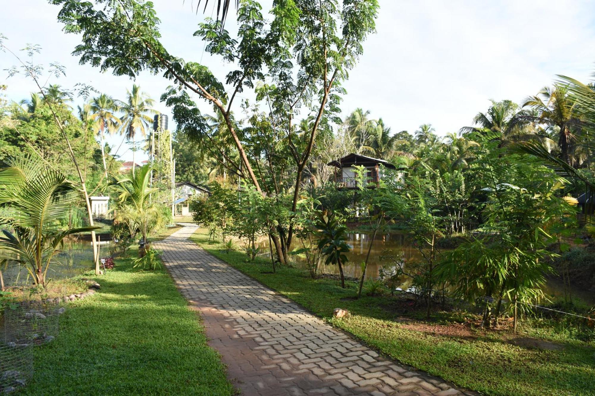 Steps Garden Hotel