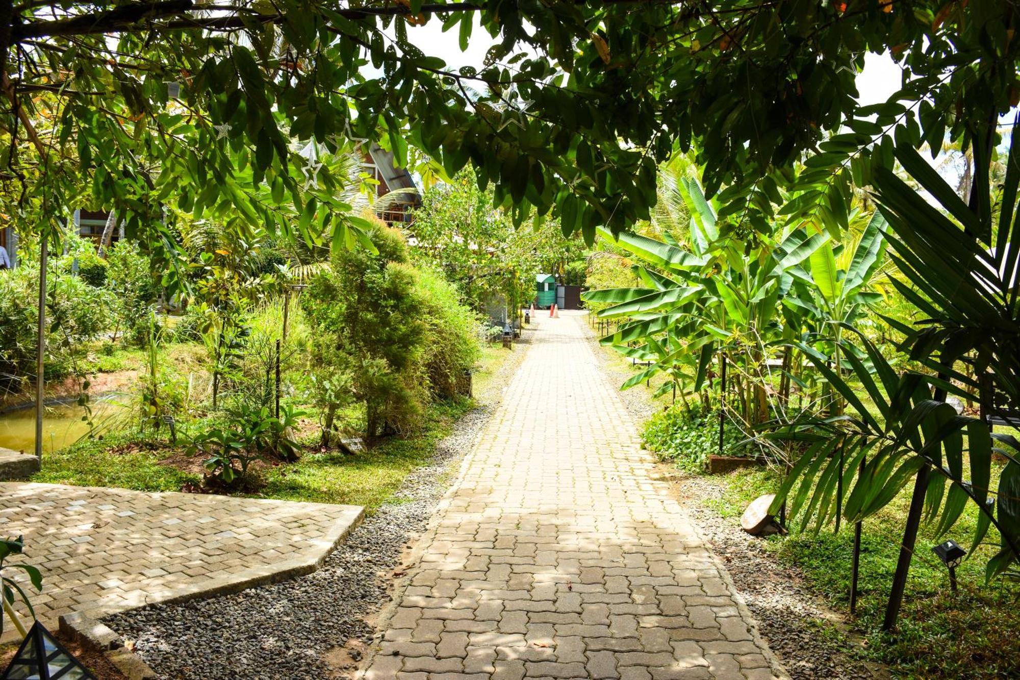 Steps Garden Hotel 3*
