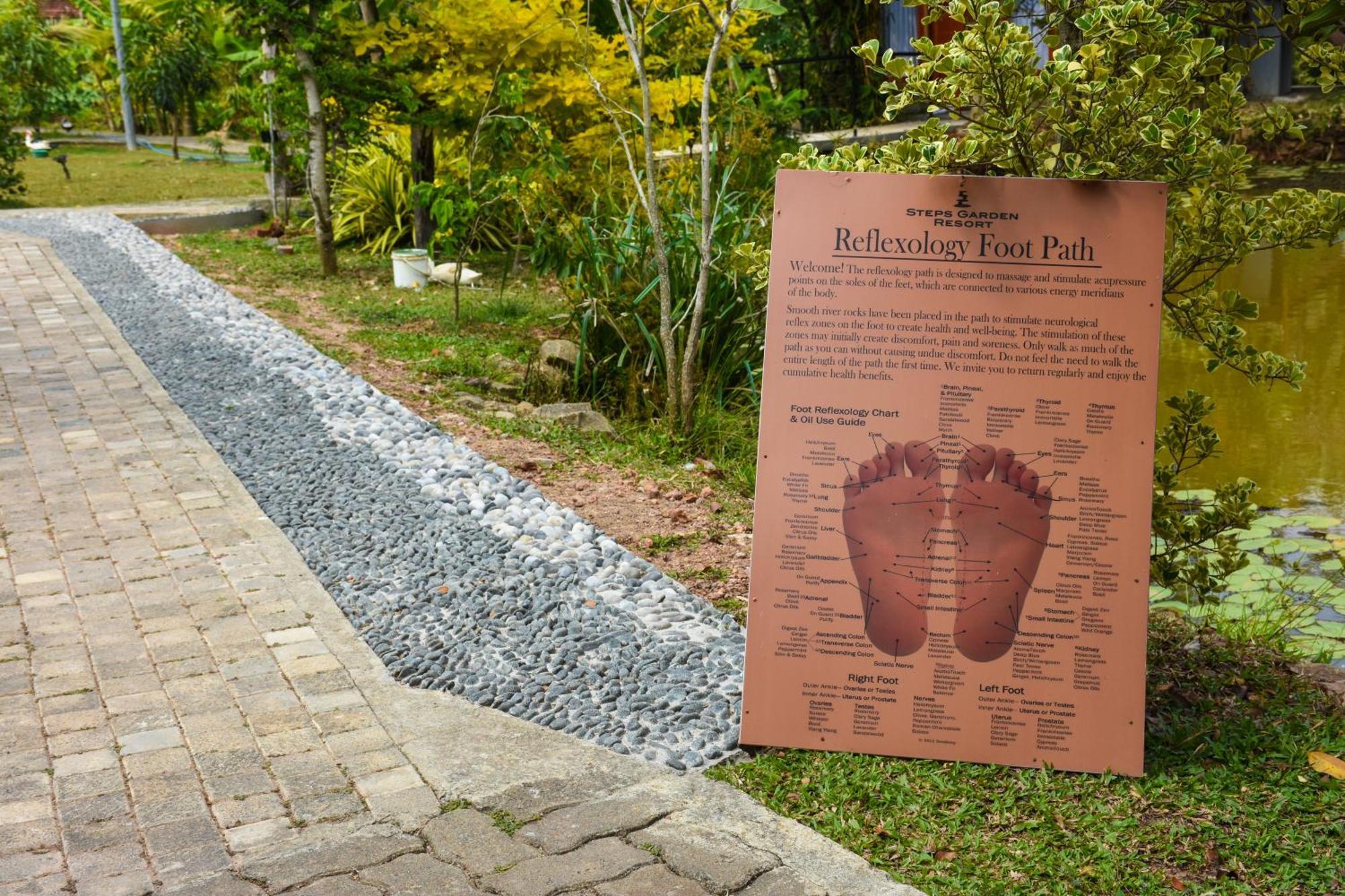 Steps Garden