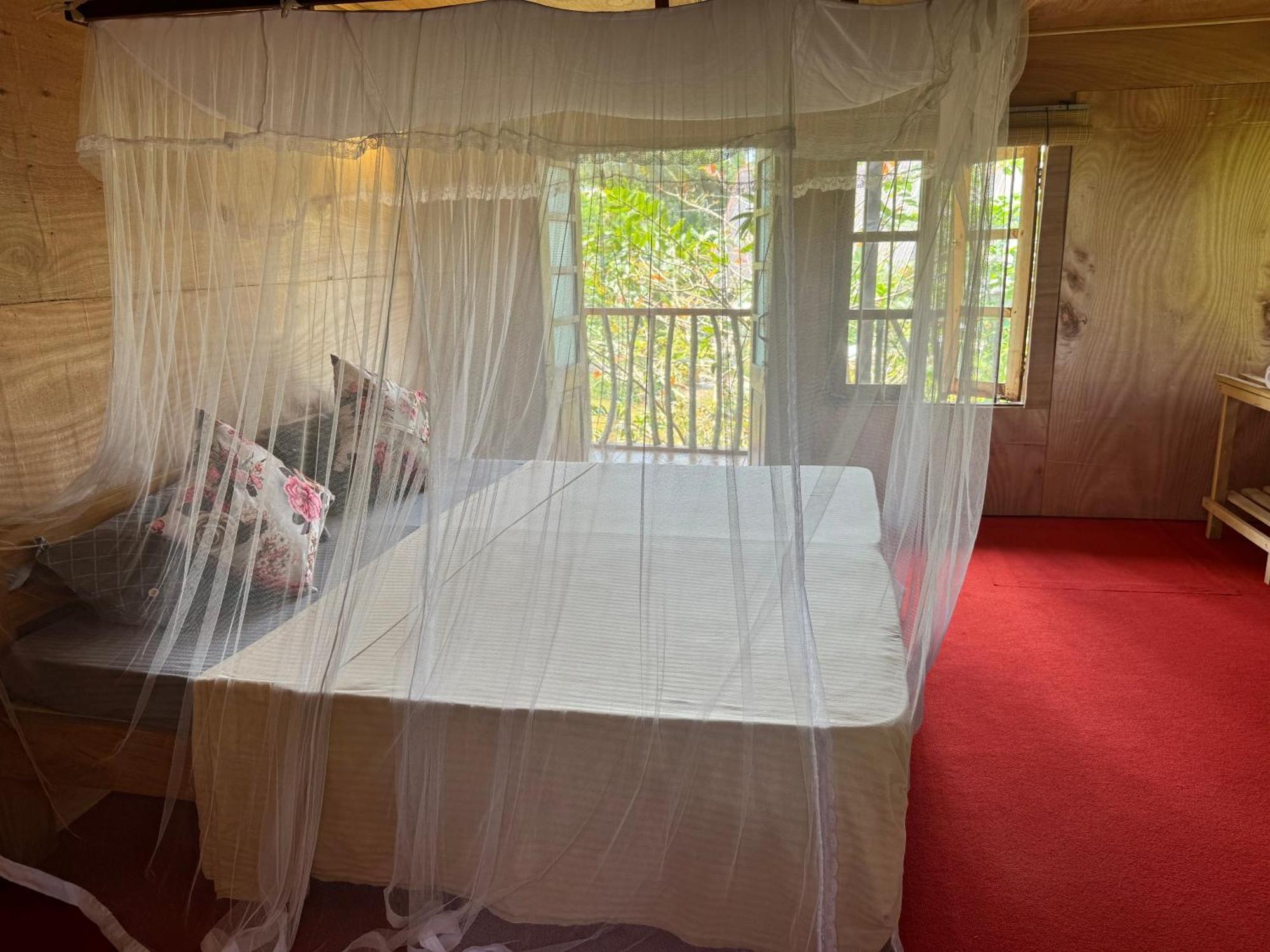 Steps Garden 3* Negombo