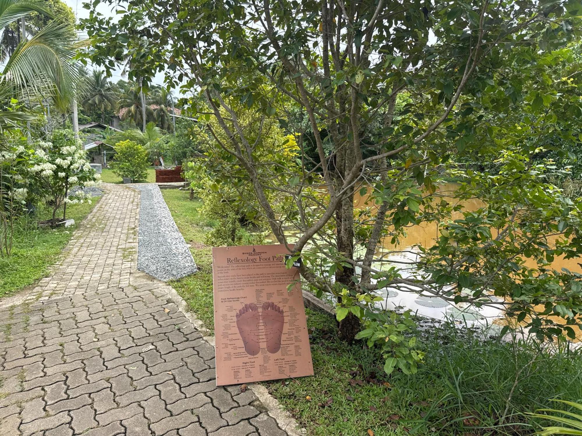 Steps Garden Negombo
