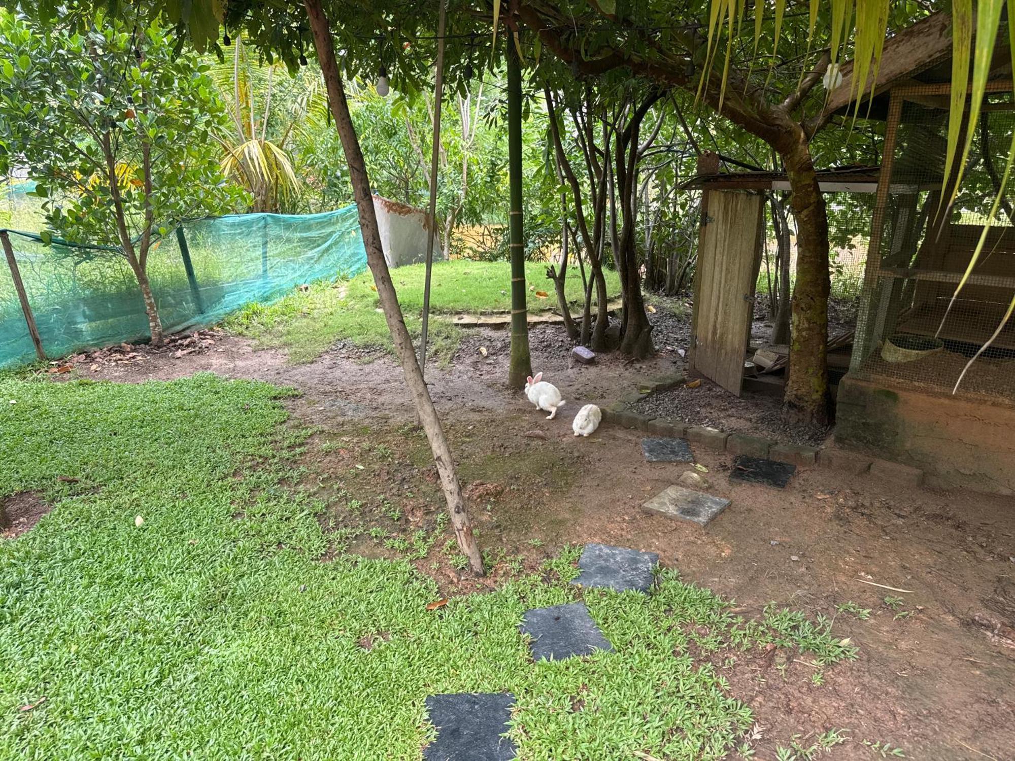 Steps Garden Hotel Negombo