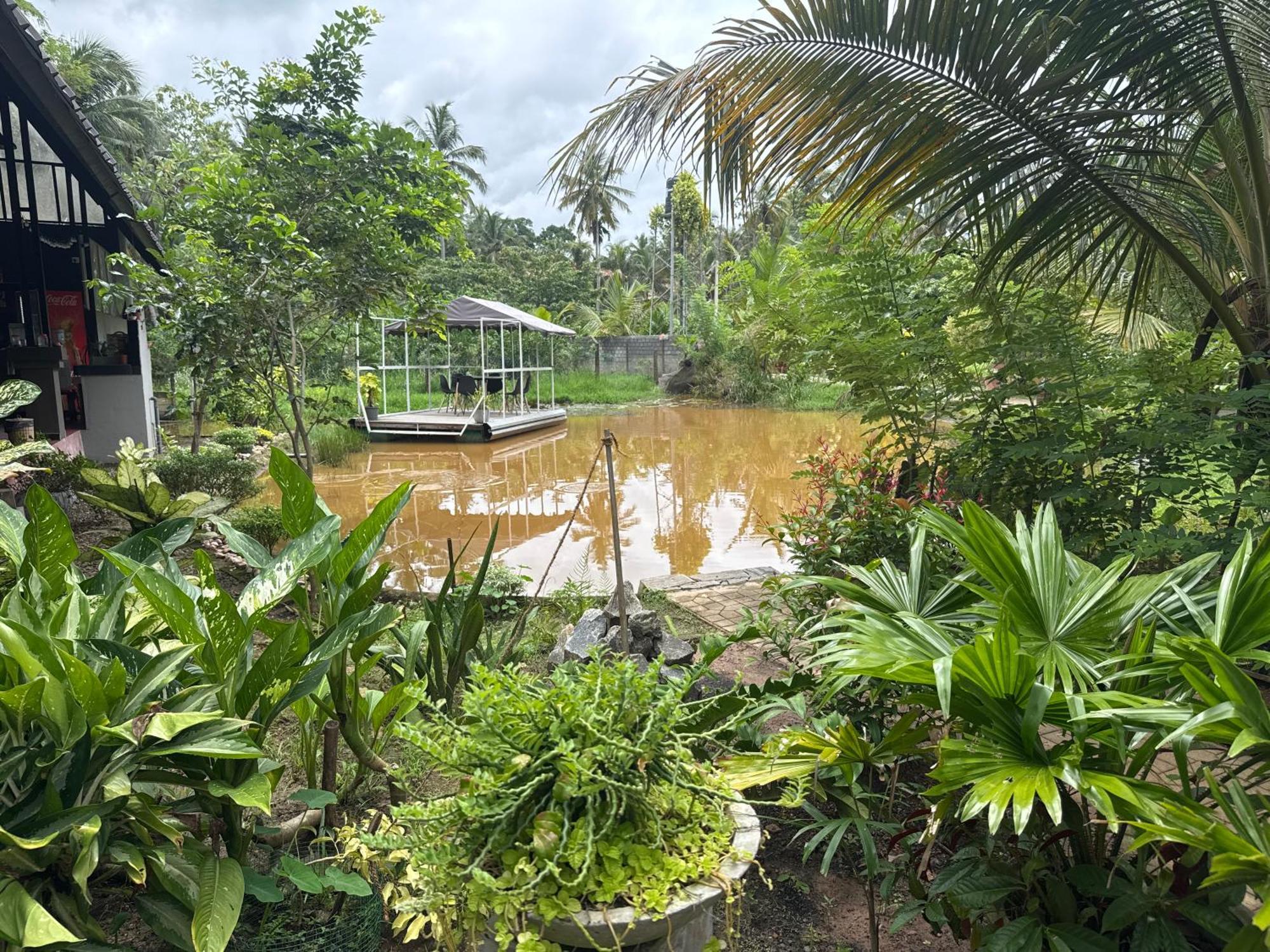 فندق Steps Garden 3*