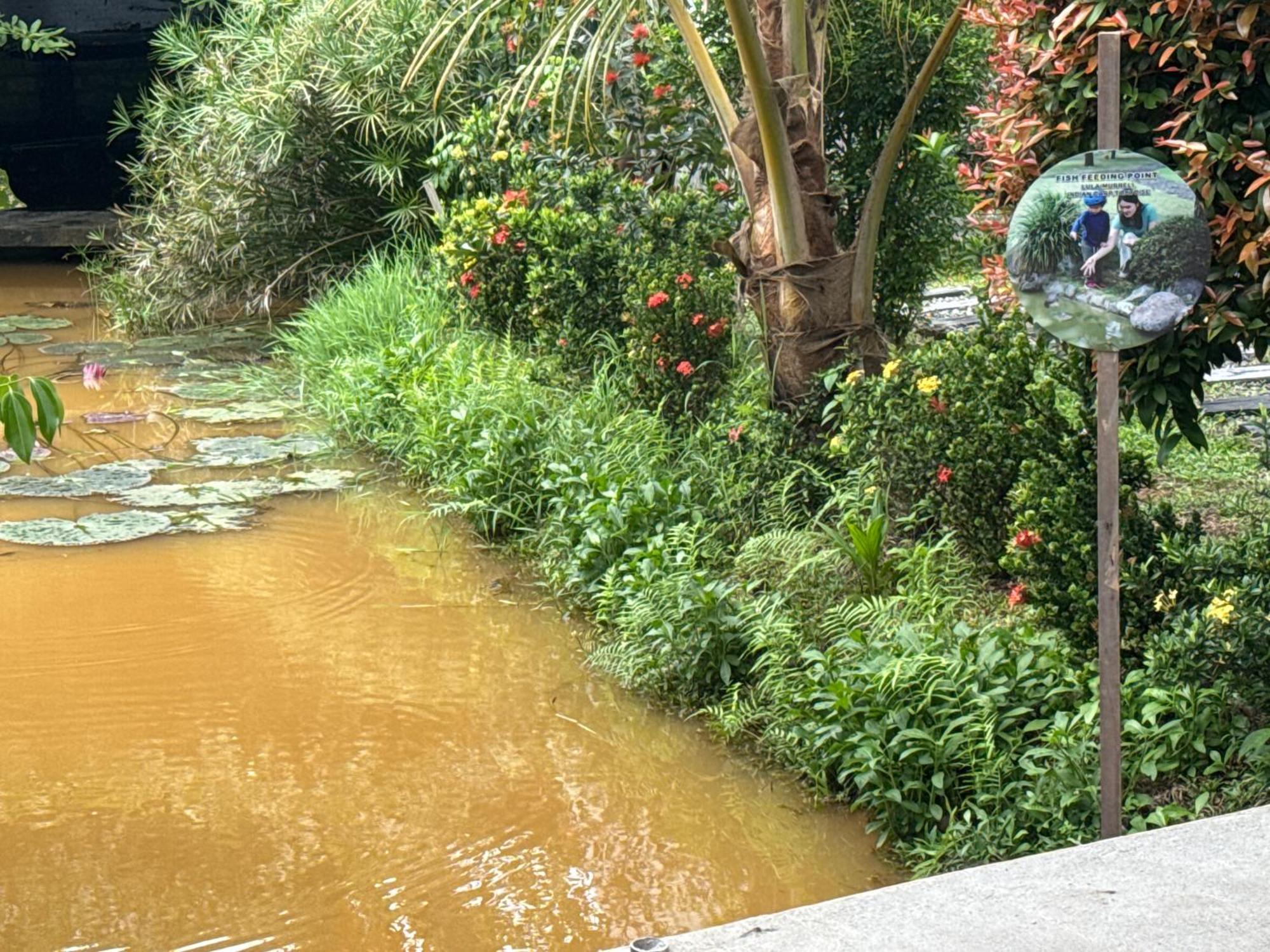 فندق Steps Garden نيجومبو