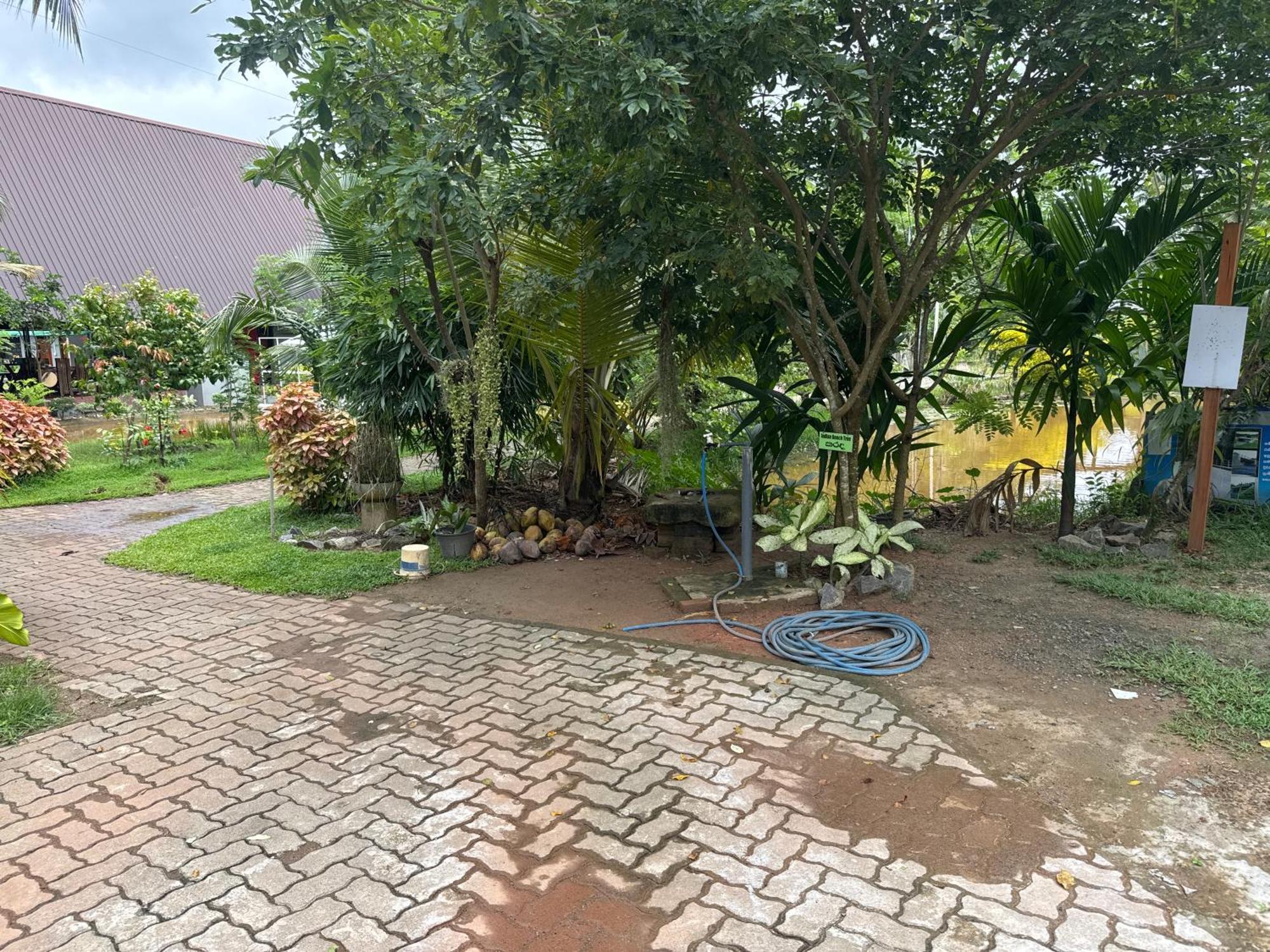 فندق Steps Garden