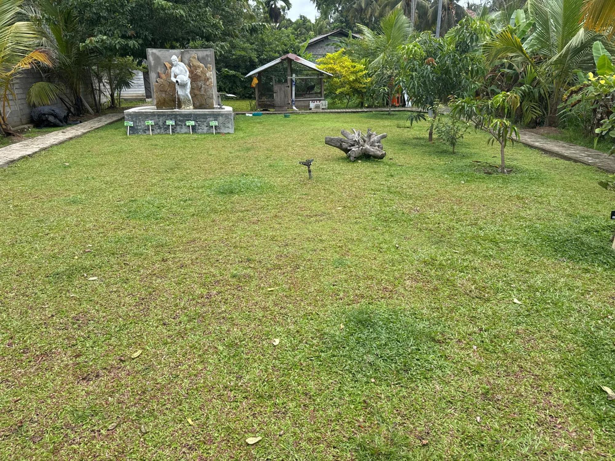 Steps Garden